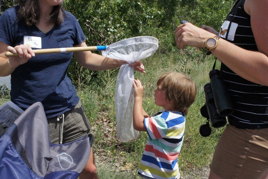 Participants of all ages observed, identified, and recorded their findings through the iNaturalist app, contributing to a larger body of research. Image Credit Dig Studio. Participants of all ages observed, identified, and recorded their findings through the iNaturalist app, contributing to a larger body of research. Image Credit Dig Studio.