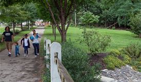 Greener Parks for Health