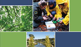 Park and Recreation Sustainability Practices Park and Recreation Sustainability Practices