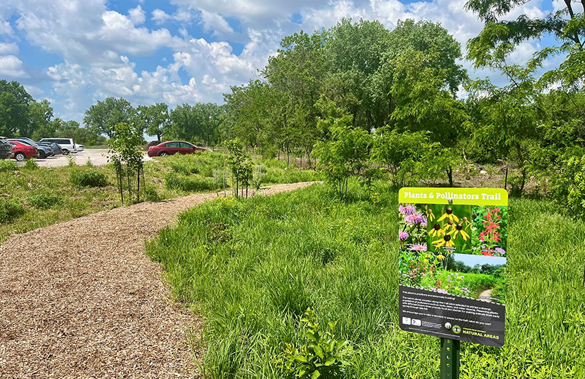 Pictured: Plants & Pollinators Trail at Big Marsh Park. Photo credit: Chicago Park District. Pictured: Plants & Pollinators Trail at Big Marsh Park. Photo credit: Chicago Park District.