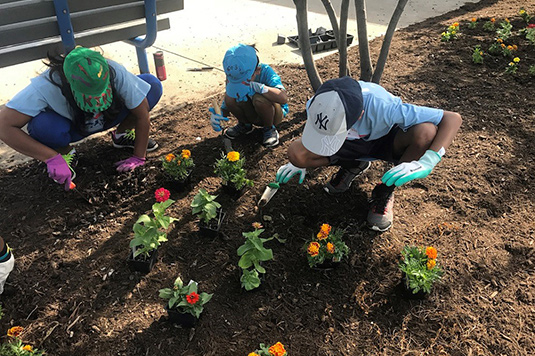 Citi Employee Engagement: Planting Flowers Citi Employee Engagement: Planting Flowers