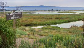 NRPA Innovation Awards: Conservation NRPA Innovation Awards: Conservation