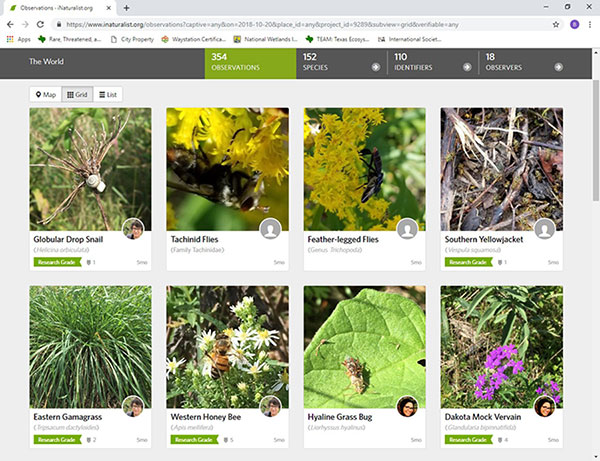 iNaturalist iNaturalist