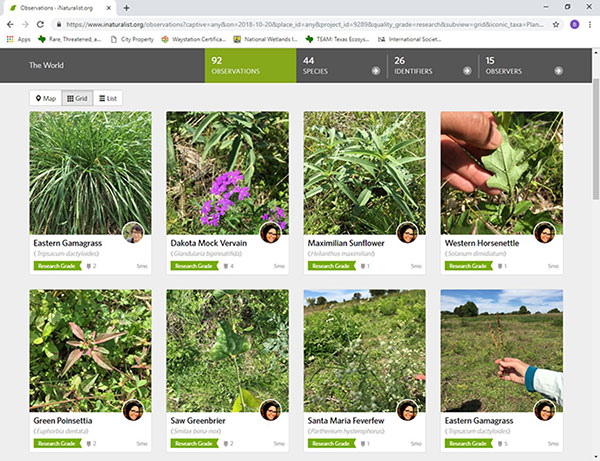 iNaturalist iNaturalist