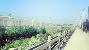 Be Inspired 2017 Winner CA Los Angeles Be Inspired 2017 Winner CA Los Angeles