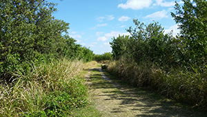 Be Inspired 2017 Winner FL Brevard County Be Inspired 2017 Winner FL Brevard County