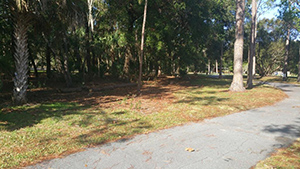 Be Inspired 2017 Winner FL Orlando Be Inspired 2017 Winner FL Orlando