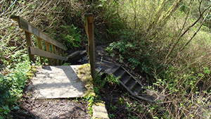 Be Inspired 2017 Winner WA Seattle Be Inspired 2017 Winner WA Seattle