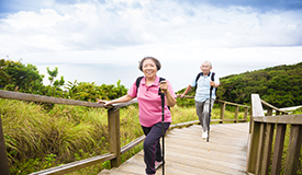 Activities and Opportunities For Older Adults