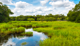 Preserving Natural Landscapes