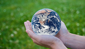 Prioritizing Environmental Initiatives
