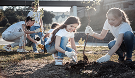 Taking Action for Sustainability 