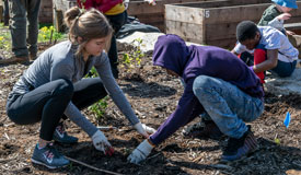 Park Pulse: November 2019: Volunteer Opportunities in Parks