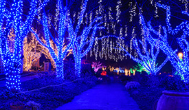 Park Pulse: December 2017: Attending Community Events this Holiday Season