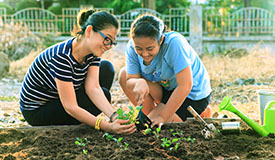 Park Pulse: May 2018: Lessons in the Community Garden