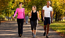 Americans Walk in the Park