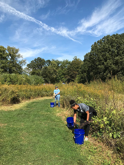 Volunteers at Whetstone Prairie. Photos courtesy of Columbus Recreation and Parks Department. Volunteers at Whetstone Prairie. Photos courtesy of Columbus Recreation and Parks Department.