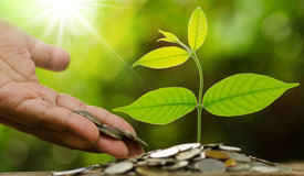 October 2020: Strong Support for Park and Recreation Funding