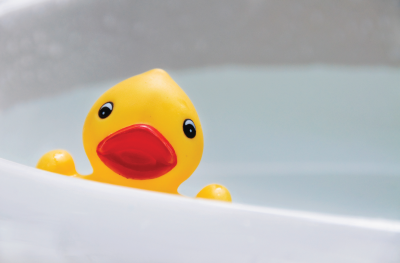 toy duck photo toy duck photo
