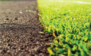 Blog-Crumb-Rubber-in-the-News Blog-Crumb-Rubber-in-the-News
