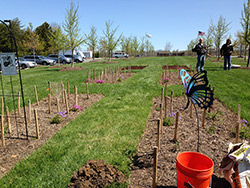 Blog-NRPA-Waystation Blog-NRPA-Waystation