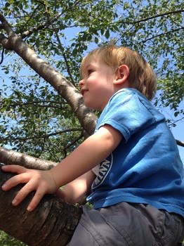 Blog-Free-Play-in-Parks-Climb-Trees Blog-Free-Play-in-Parks-Climb-Trees