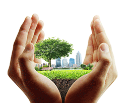 Sustainability-Blog-Earth