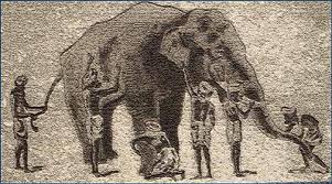 Blind men and elephant Blind men and elephant