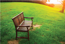 Blog-Park-as-Family-bench Blog-Park-as-Family-bench
