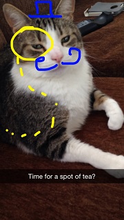 snapchat_cat
