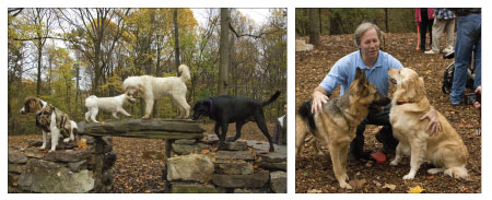 blog-march_14_dog_park_blog blog-march_14_dog_park_blog