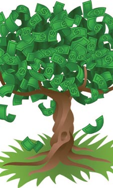 Money Tree Illustration Money Tree Illustration