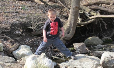 Nature Playscape Nature Playscape