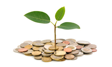 Park and recreation agencies share their views on the economy. Park and recreation agencies share their views on the economy.