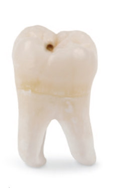 Make health help you make your case in your community. Make health help you make your case in your community.