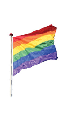 Can a city regulate distribution of Bibles at a gay pride festival in a park? Can a city regulate distribution of Bibles at a gay pride festival in a park?