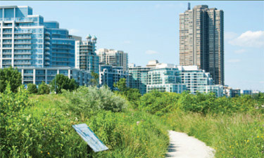 A trail winds through a Toronto city park. A trail winds through a Toronto city park.