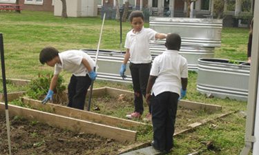 Community gardens provide essential food education to youngsters and offer a beneficial outlet for practical creativity. Community gardens provide essential food education to youngsters and offer a beneficial outlet for practical creativity.