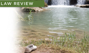 An unfortunate accident reminds parks and recreation professionals to closely scrutinize their policies and procedures. An unfortunate accident reminds parks and recreation professionals to closely scrutinize their policies and procedures.