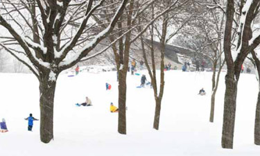 A Nebraska court considers the level of responsibility an Omaha park holds in the injury of a young sledder after failing to remove trees deemed to be a potential danger. A Nebraska court considers the level of responsibility an Omaha park holds in the injury of a young sledder after failing to remove trees deemed to be a potential danger.