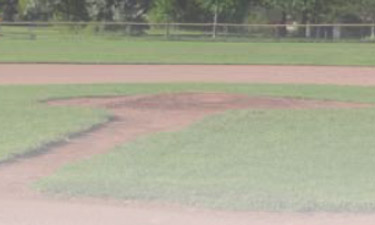 Does voluntary participation in sports and recreation automatically imply the assumption of risk and indemnify park agencies against prosecution? Does voluntary participation in sports and recreation automatically imply the assumption of risk and indemnify park agencies against prosecution?