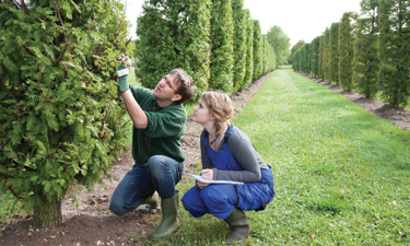 How to determine when interns and volunteers should be given paid positions. How to determine when interns and volunteers should be given paid positions.