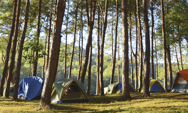 Liability exposure is only one of many considerations in managing public park resources. Liability exposure is only one of many considerations in managing public park resources.