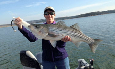 Amy Fortenberry, director of the Plano, Texas, Parks and Recreation Department, is a passionate, lifetime park and recreation professional. Amy Fortenberry, director of the Plano, Texas, Parks and Recreation Department, is a passionate, lifetime park and recreation professional.