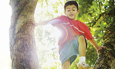 After almost disappearing from the scene starting in the 1980s, play as a normal part of children’s lives and their development is making a comeback. Why and what does it look like now? After almost disappearing from the scene starting in the 1980s, play as a normal part of children’s lives and their development is making a comeback. Why and what does it look like now?