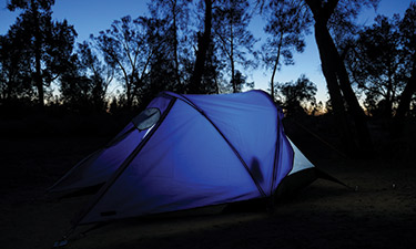 Can a park be held liable if, while camping, you sustain injuries from a tree falling on your tent?  Can a park be held liable if, while camping, you sustain injuries from a tree falling on your tent?