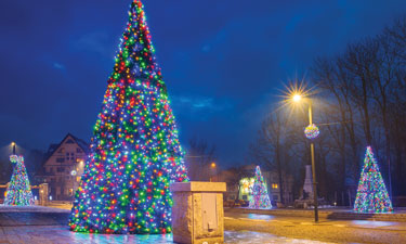 Traditional holiday displays in public parks have increasingly generated contentious constitutional law challenges. Traditional holiday displays in public parks have increasingly generated contentious constitutional law challenges.