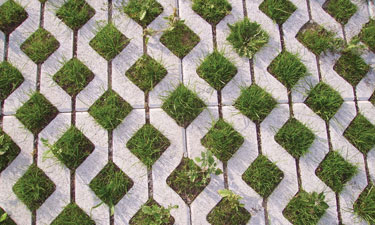 Green infrastructure approaches are not new to many enterprising agencies, but the recognition of parks as players in the discussion on water resource management is new and expanding. Green infrastructure approaches are not new to many enterprising agencies, but the recognition of parks as players in the discussion on water resource management is new and expanding.