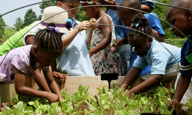 2014's Grow your Park grants projects were a resounding success. 2014's Grow your Park grants projects were a resounding success.