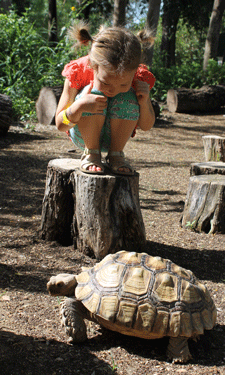 This month's cover photo, Girl With Tortoise, was submitted by NRPA member city McAllen, Texas, and chosen by popular vote in our Parks & Recreation cover contest. This month's cover photo, Girl With Tortoise, was submitted by NRPA member city McAllen, Texas, and chosen by popular vote in our Parks & Recreation cover contest.